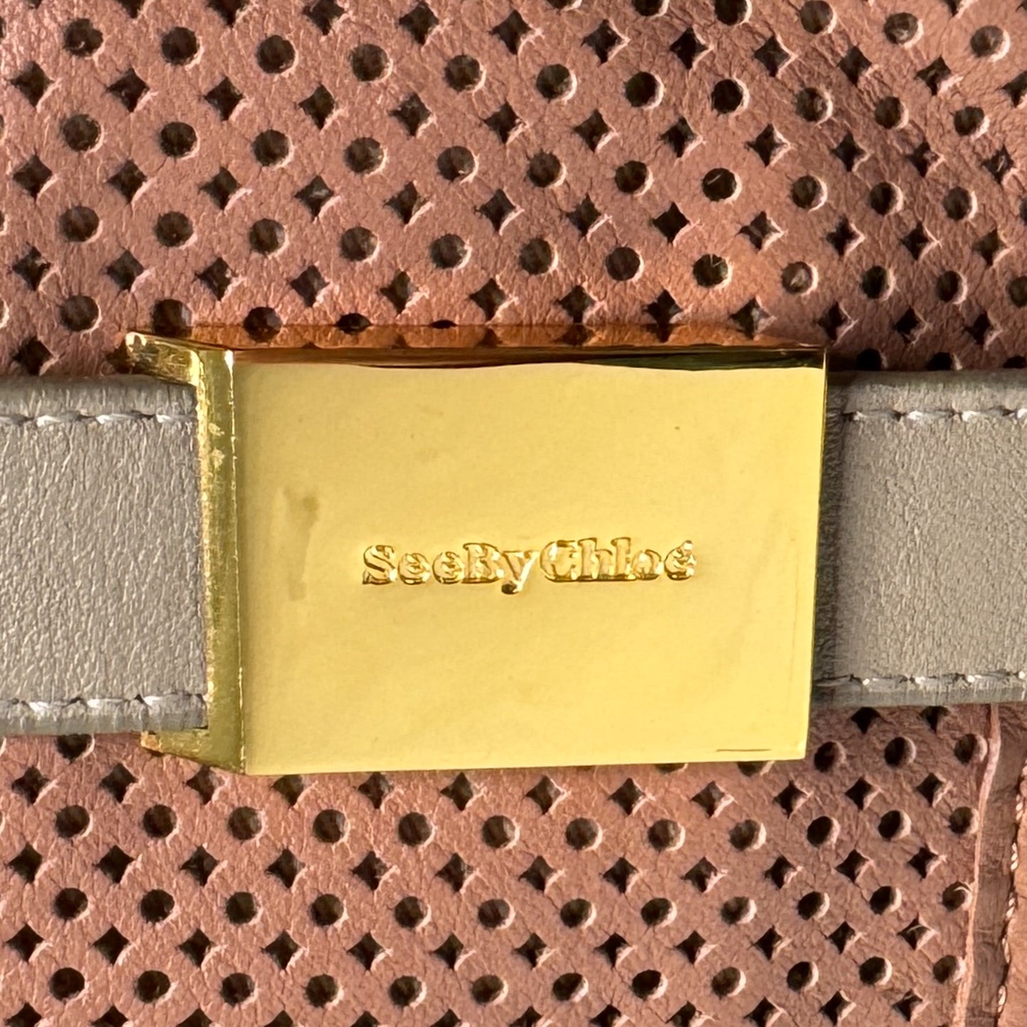 See By Chloe Blush Pink Leather Medium Tote Bag