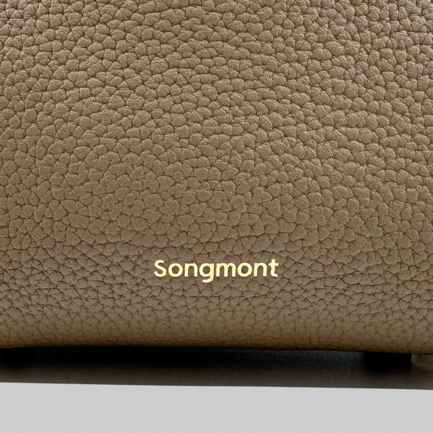 Songmont Taupe Brown Grainy Leather Top Handle Mini Tote Bag