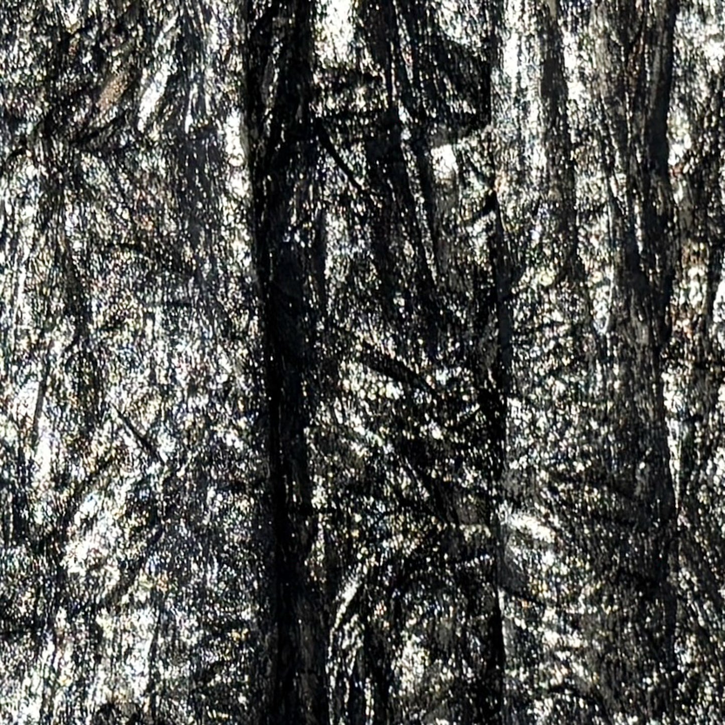 Ginger & Smart Black Metallic Long Skirt Small ~ AU8