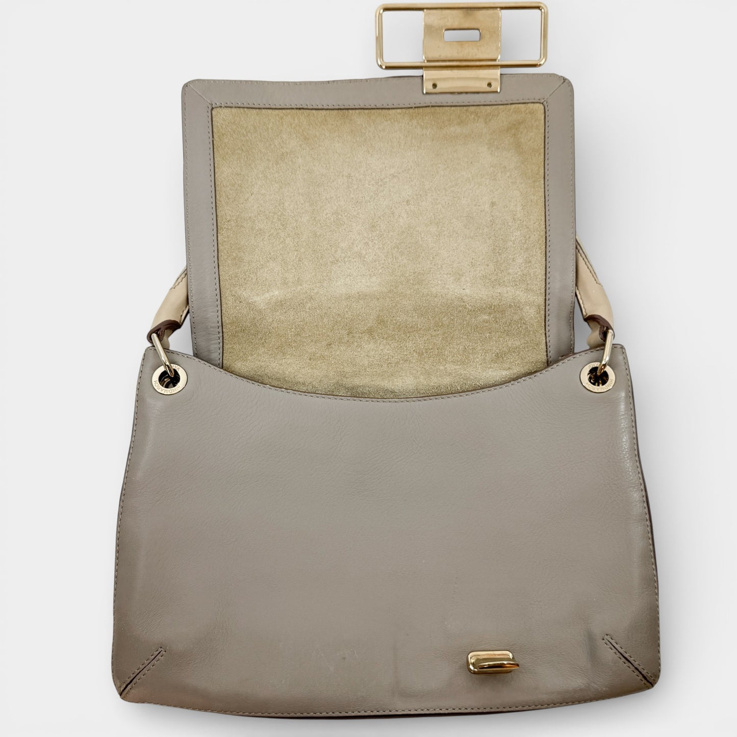 Anya Hindmarch Beige Gold Leather Flap & Clasp Bag