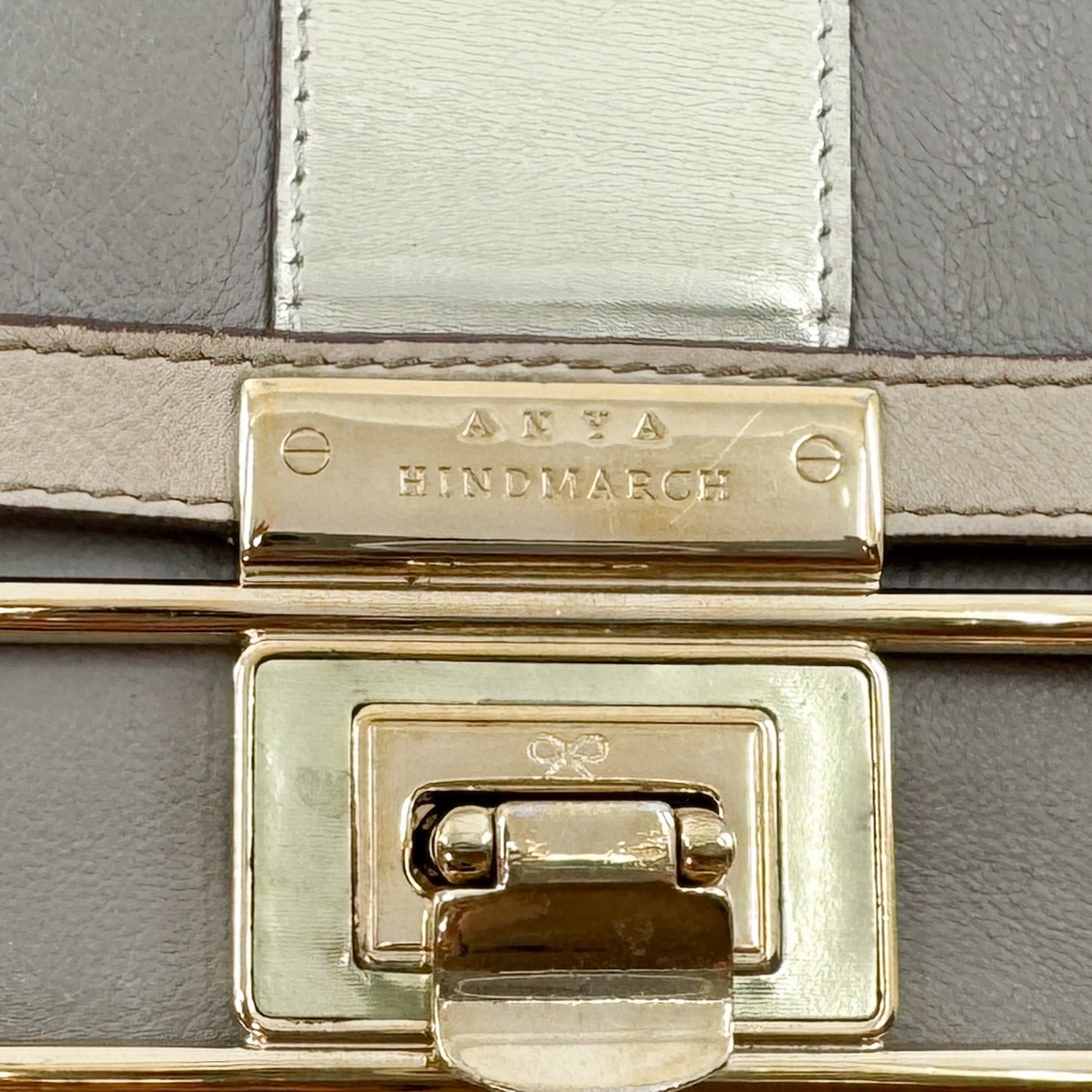 Anya Hindmarch Beige Gold Leather Flap & Clasp Bag