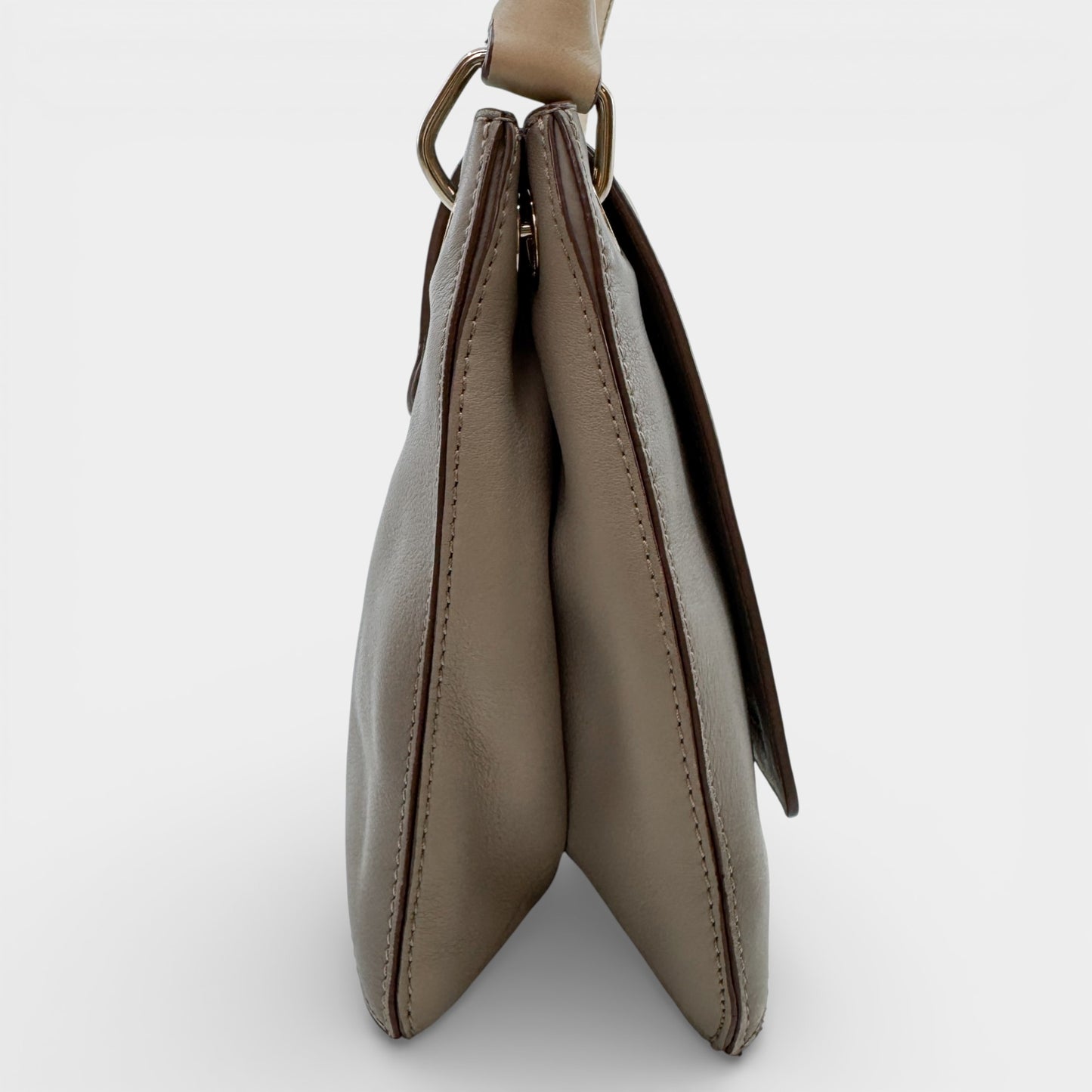 Anya Hindmarch Beige Gold Leather Flap & Clasp Bag