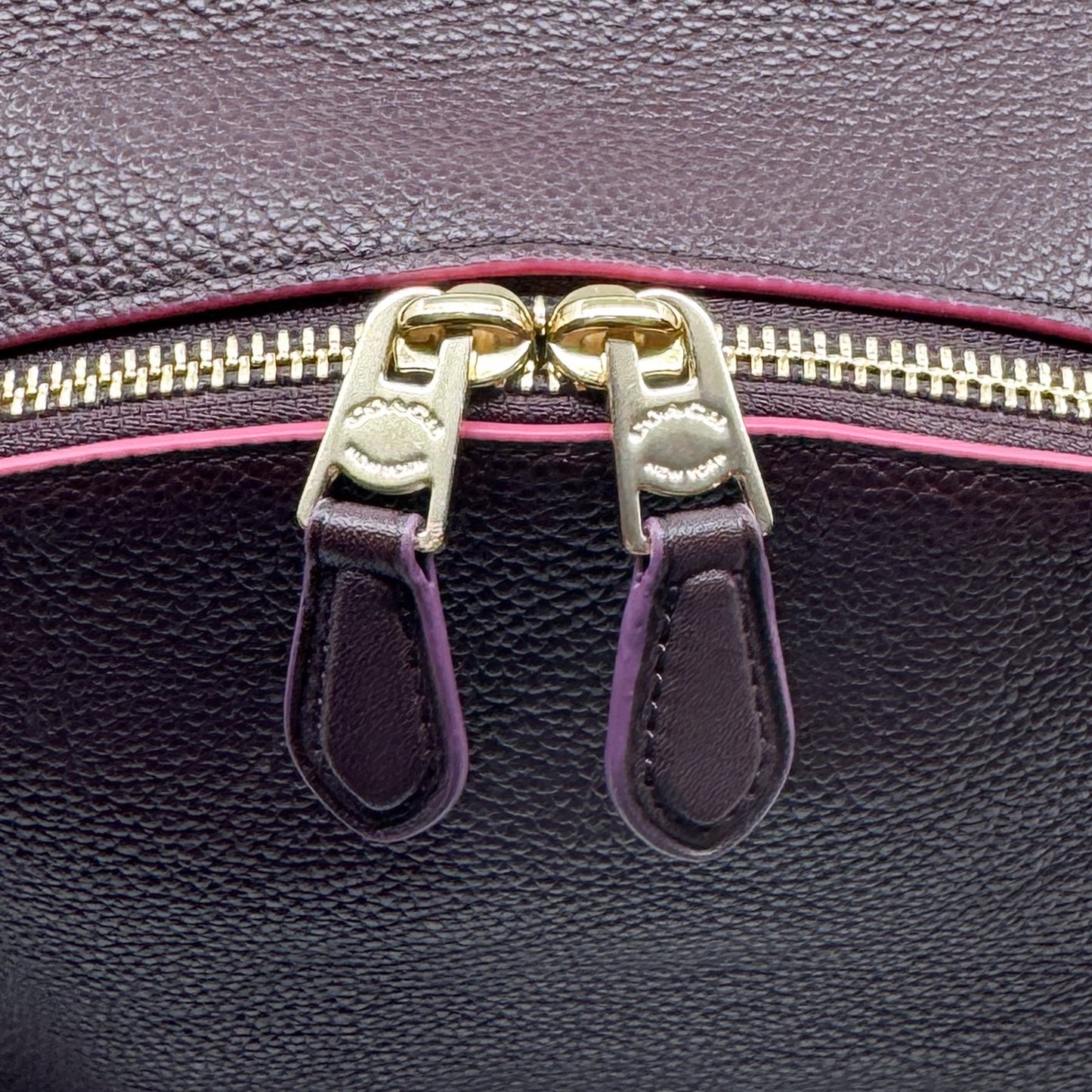Coach Burgundy Oxblood Leather Charlie Edgepaint Backpack Bag