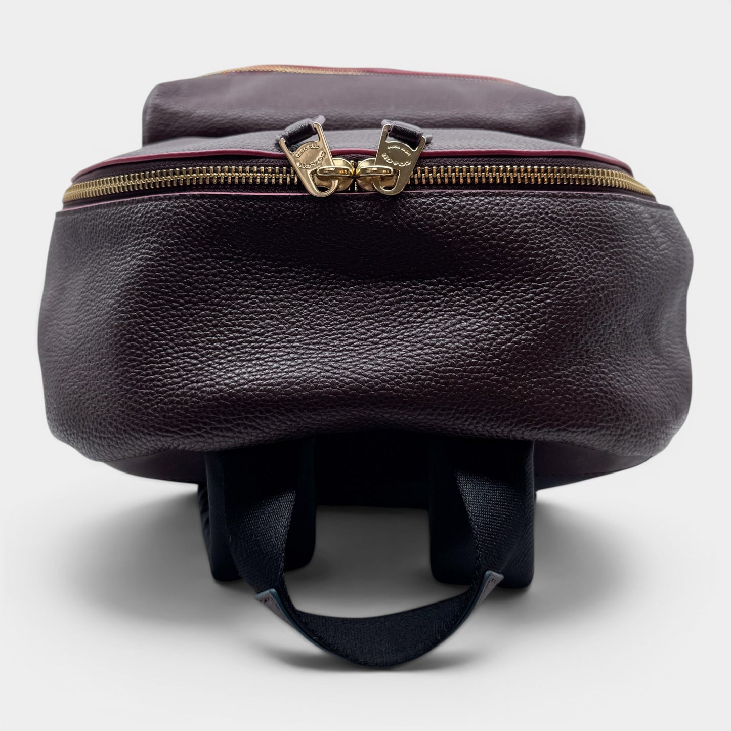Coach Burgundy Oxblood Leather Charlie Edgepaint Backpack Bag
