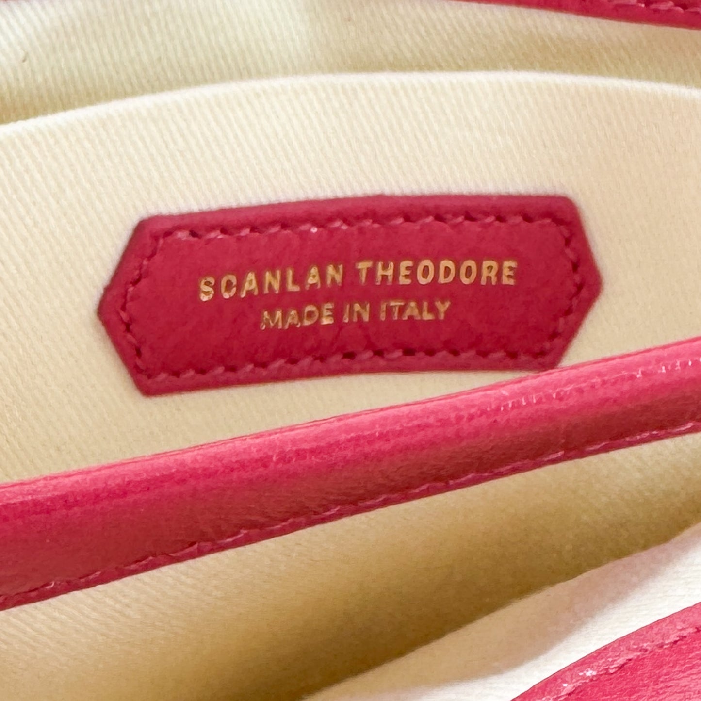 Scanlan Theodore Raspberry Pink Leather Small Pillow Bag