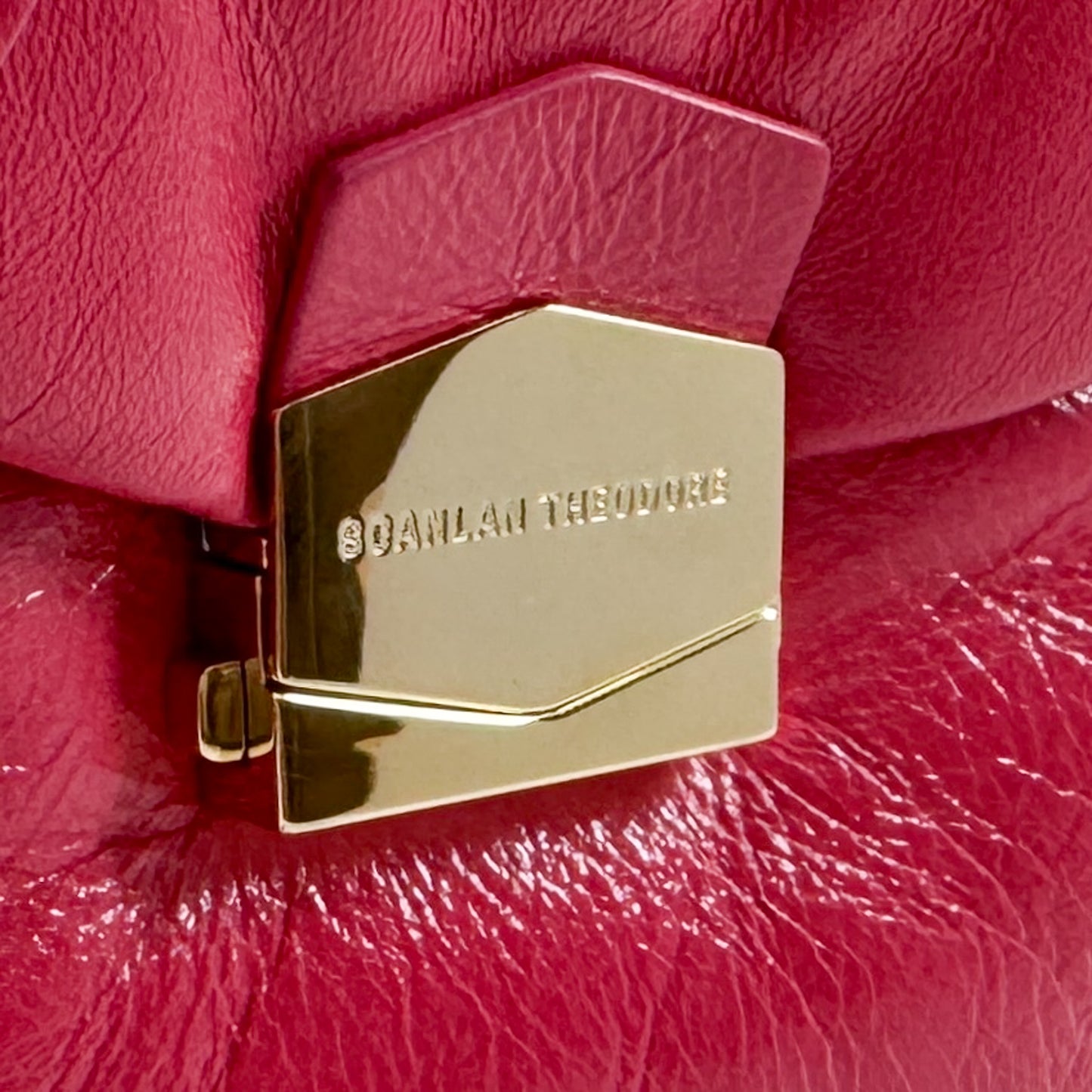 Scanlan Theodore Raspberry Pink Leather Small Pillow Bag